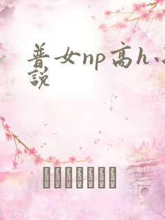 普女np高h小说