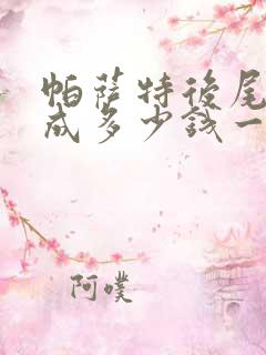 帕萨特后尾灯总成多少钱一个