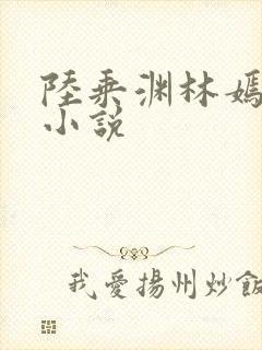 陆乘渊林嫣全文小说