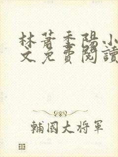 林萧季阳小说全文免费阅读