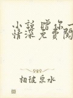 小说 赠你一世情深免费阅读