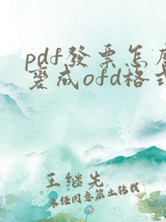 pdf发票怎么变成ofd格式发票
