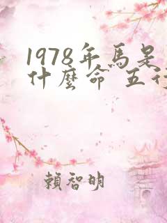 1978年马是什么命 五行属什么属性