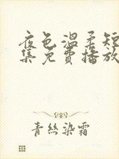 夜色温柔短剧全集免费播放电视剧
