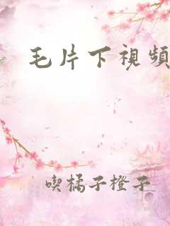 毛片下视频