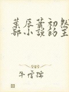 叶辰萧初然是哪部小说的主角