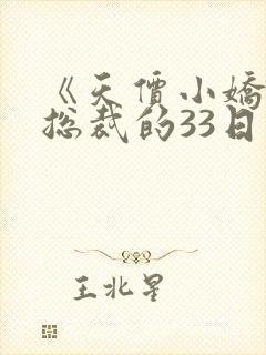 《天价小娇妻:总裁的33日索情