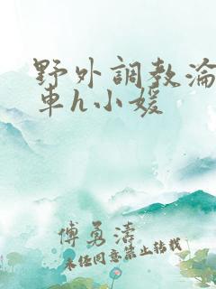 野外调教沦为公车h小媛