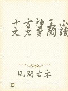 十方神王小说全文免费阅读