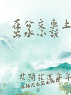 在公交车上被摸出水小说