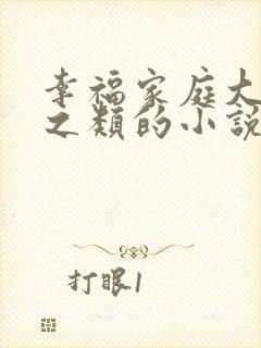 幸福家庭大杂烩之类的小说