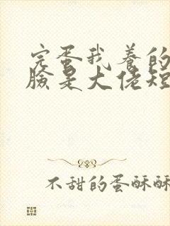 完蛋我养的小白脸是大佬短剧全集