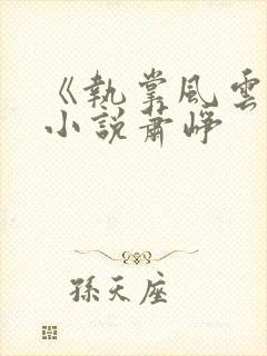 《执掌风云》 小说萧峥