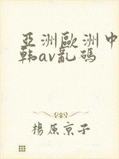 亚洲欧洲中文日韩av乱码