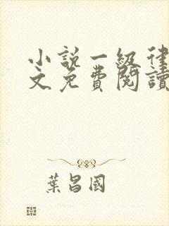 小说一级律师全文免费阅读