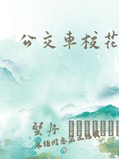 公交车校花h