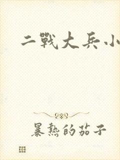 二战大兵小说