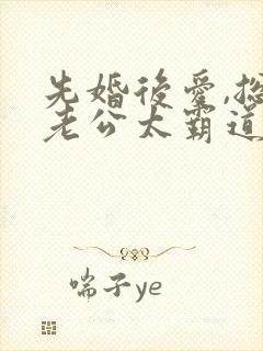 先婚后爱,总裁老公太霸道