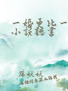 一婚更比一婚高小说听书