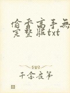 偷香高手无删减完整版txt