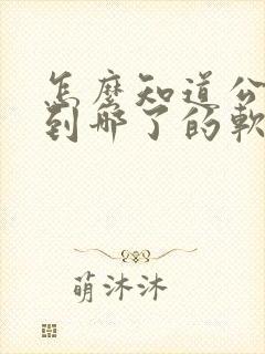 怎么知道公交车到哪了的软件