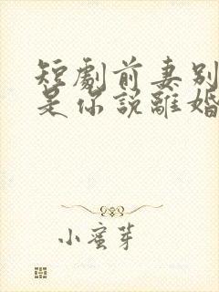 短剧前妻别哭了是你说离婚的短剧免费观看