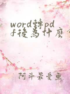 word转pdf后为什么会有空白页