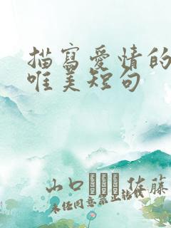 描写爱情的句子唯美短句