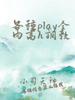 各种play全肉高h调教