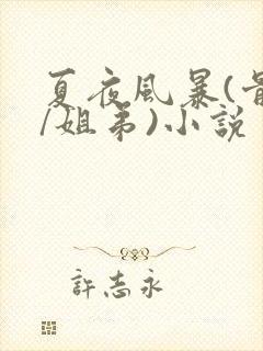 夏夜风暴(骨科/姐弟)小说