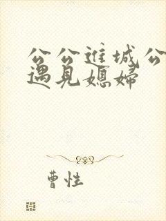 公公进城公交车遇见媳妇