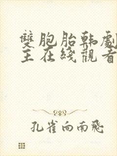 双胞胎韩剧双男主在线观看免费高清