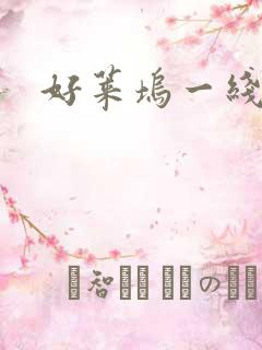 好莱坞一线男星
