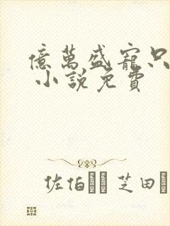 亿万盛宠只为你 小说免费