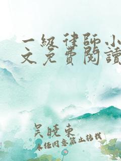 一级律师小说全文免费阅读无弹窗