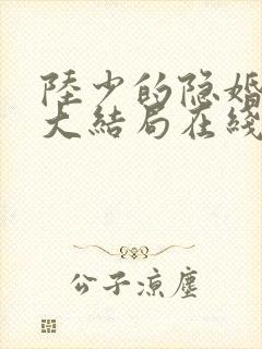陆少的隐婚罪妻大结局在线阅读