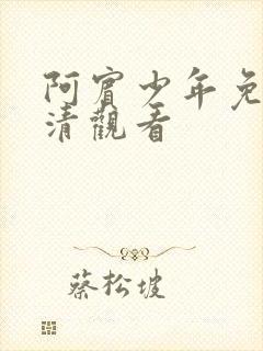 阿宾少年免费高清观看