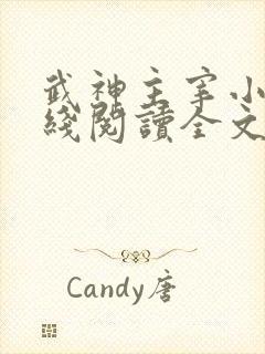 武神主宰小说在线阅读全文