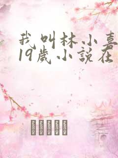 我叫林小喜今年19岁小说在线阅读全文