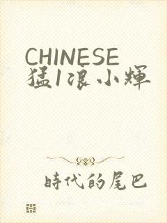 CHINESE猛1浪小辉