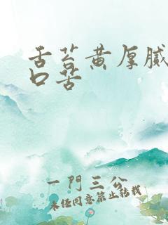 舌苔黄厚腻口干口苦