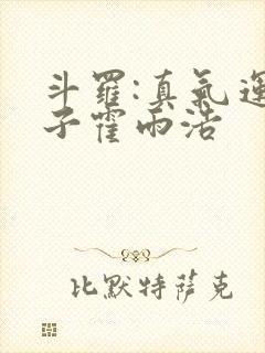 斗罗:真气运之子霍雨浩