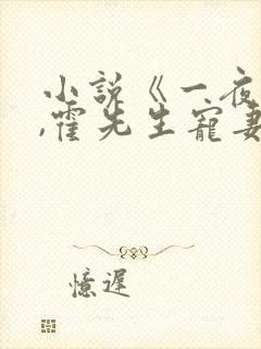 小说《一夜情深,霍先生宠妻无度》