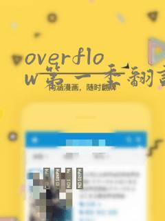 overflow第一季翻译漫画