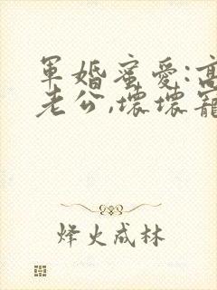 军婚蜜爱:高冷老公,坏坏宠