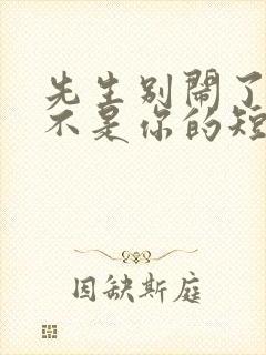 先生别闹了新娘不是你的短剧全集免费播放