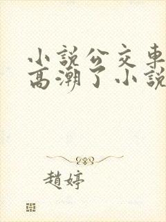 小说公交车被上高潮了小说