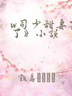 w司少甜妻宠定了》小说