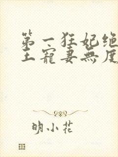 第一狂妃绝色邪王宠妻无度免费阅读