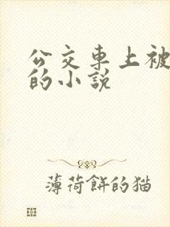 公交车上被玩弄的小说
